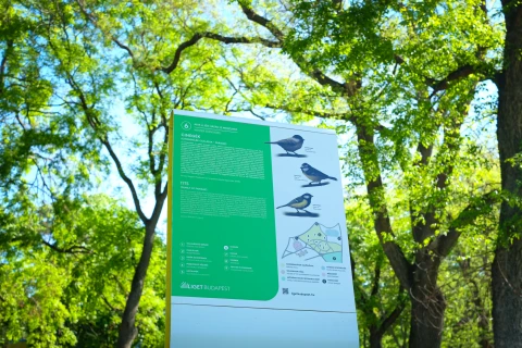 Tanösvény várja a madárbarátokat a Ligetben