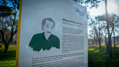 Tanösvény várja a madárbarátokat a Ligetben