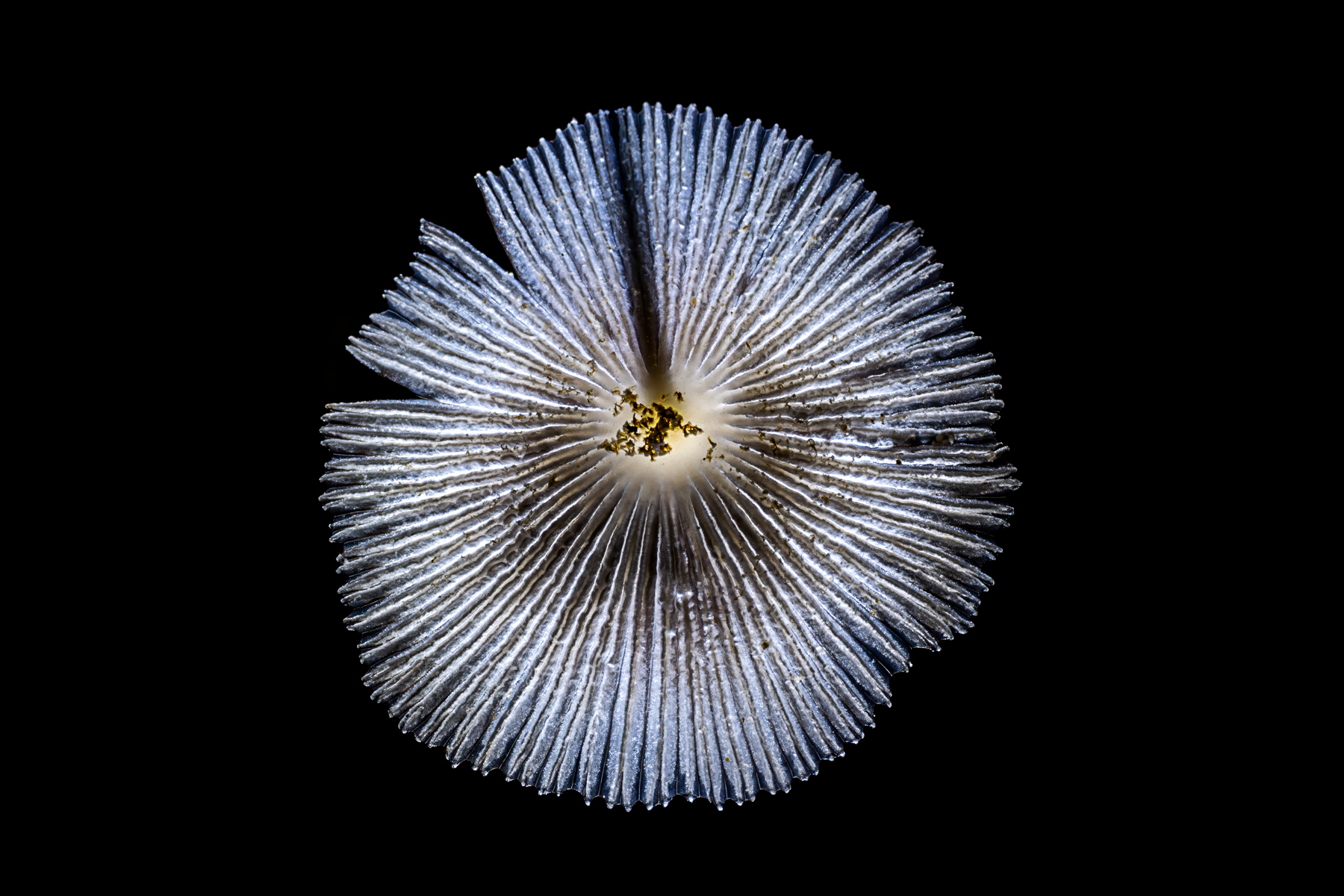 Magyarország 365 Kiállítás