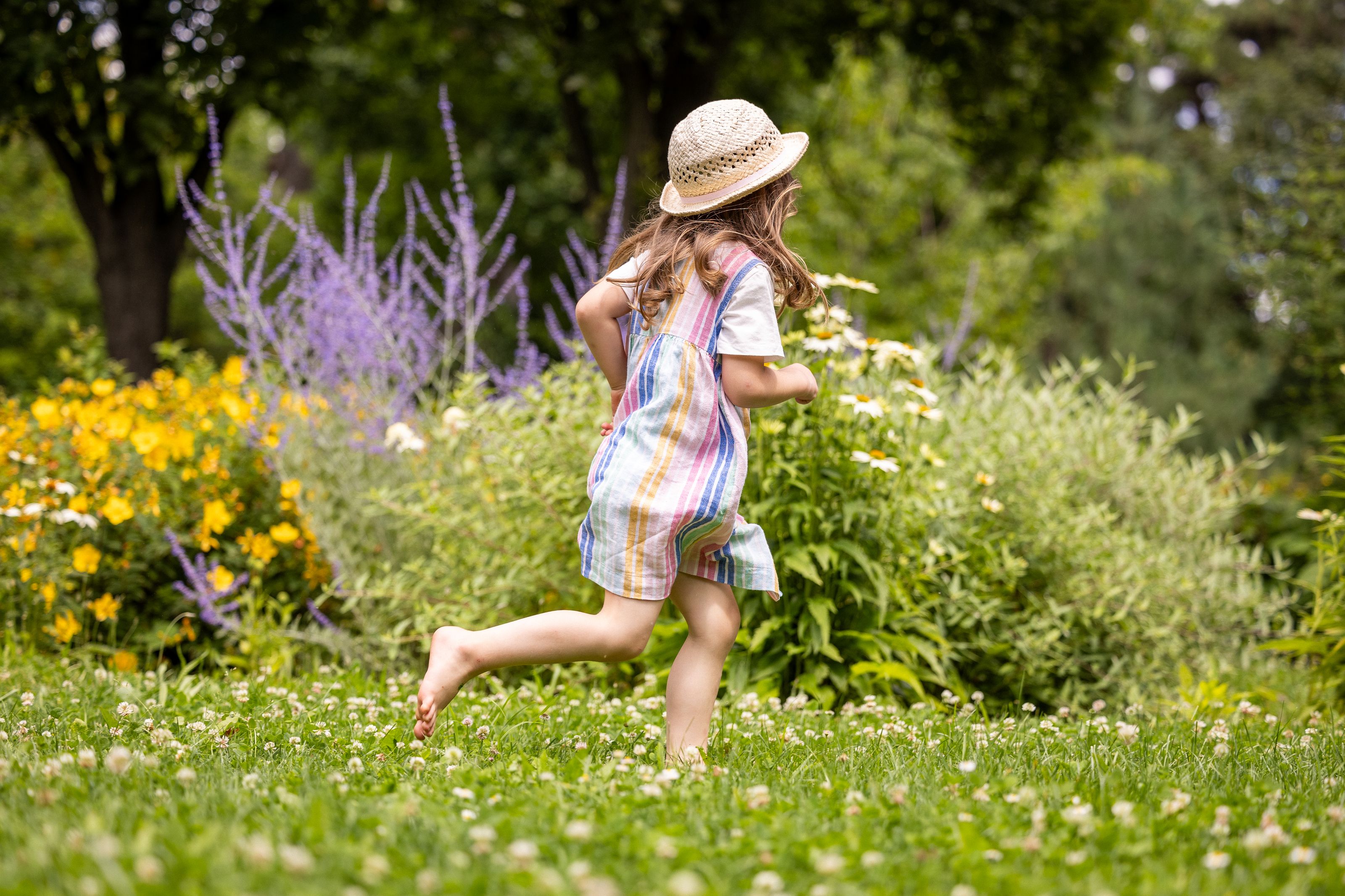 Újabb állomásához érkezett a Városliget zöldfelületének megújítása