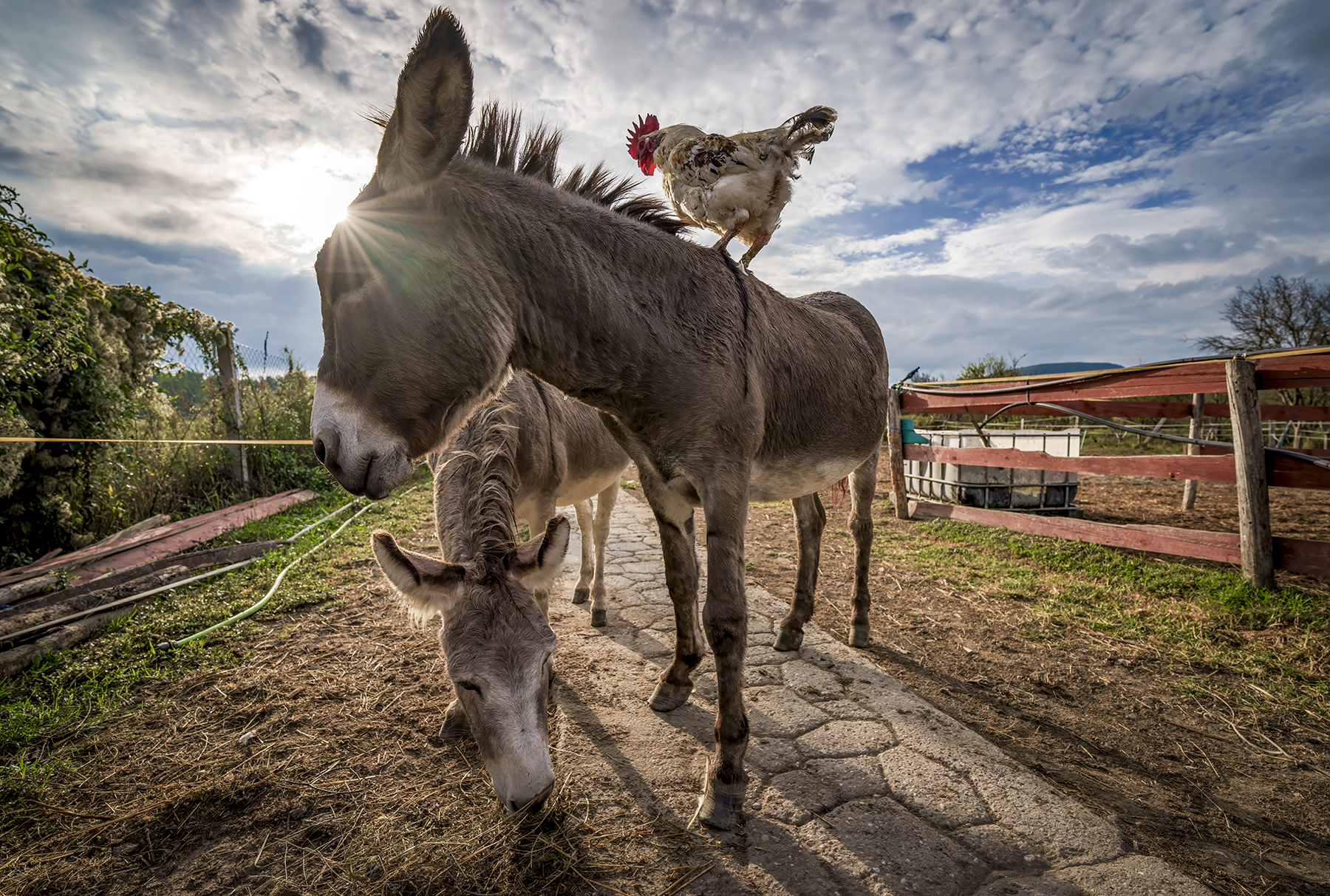 Magyarország 365 Fotótanösvény