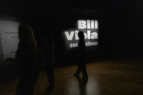 Discover the enigmatic world of video art through Bill Viola’s Masterpieces!