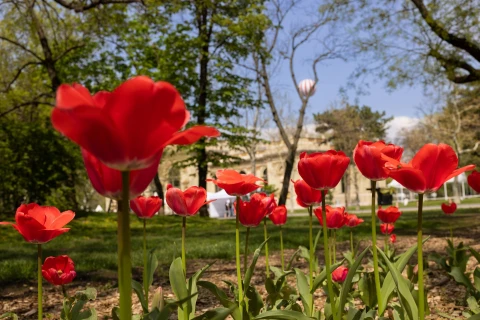 Megérkezett a tavasz a Ligetbe!