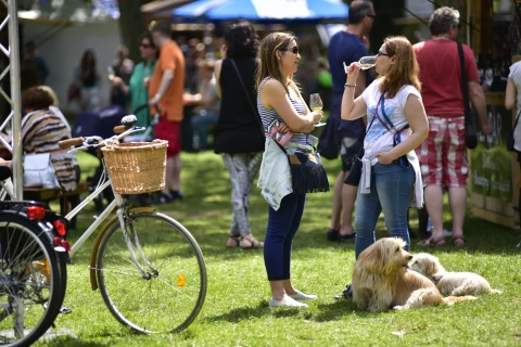 Kutyás majális és sok más program vár!