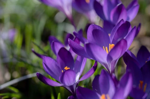 Cégen belüli szereplők