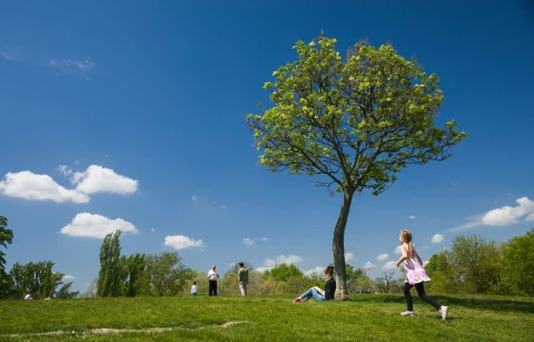 Cégen kívüli közreműködők