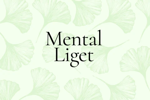 Mental Liget - a munkahelyi mentális egészség fóruma