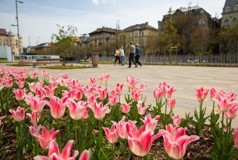 Városligeti promenád