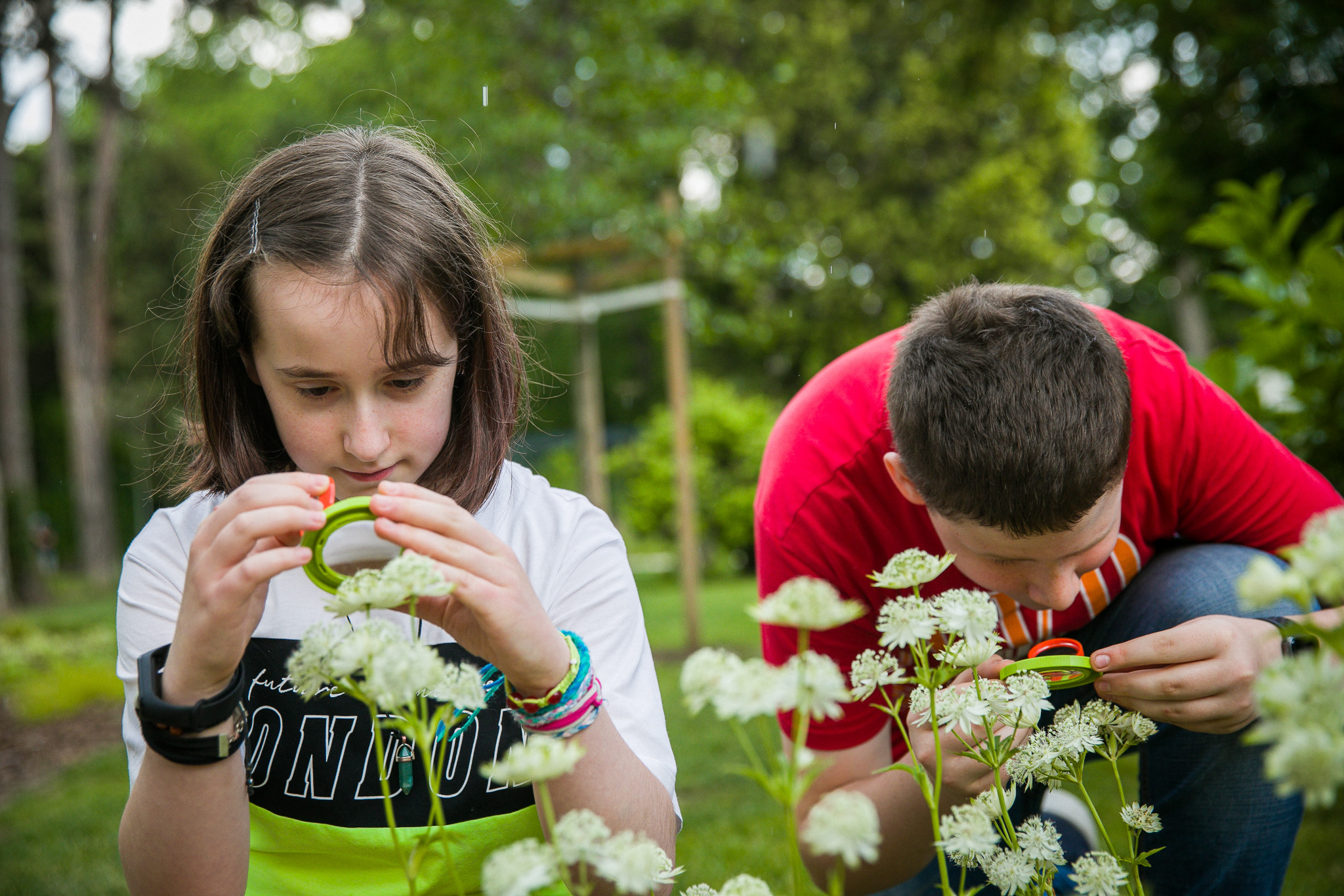 Piknik és „bioszóra” Galéria kép 0