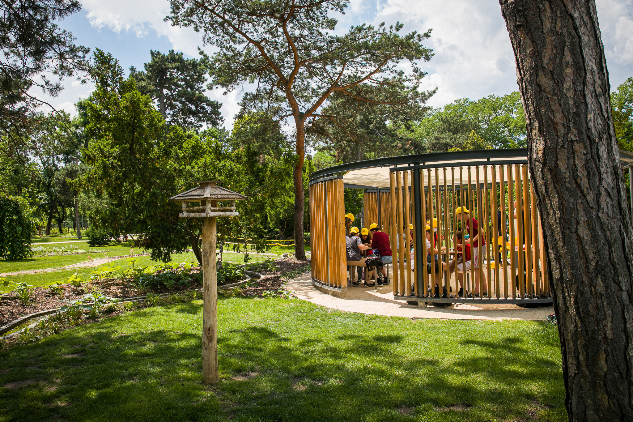 Piknik és „bioszóra” Galéria kép 1