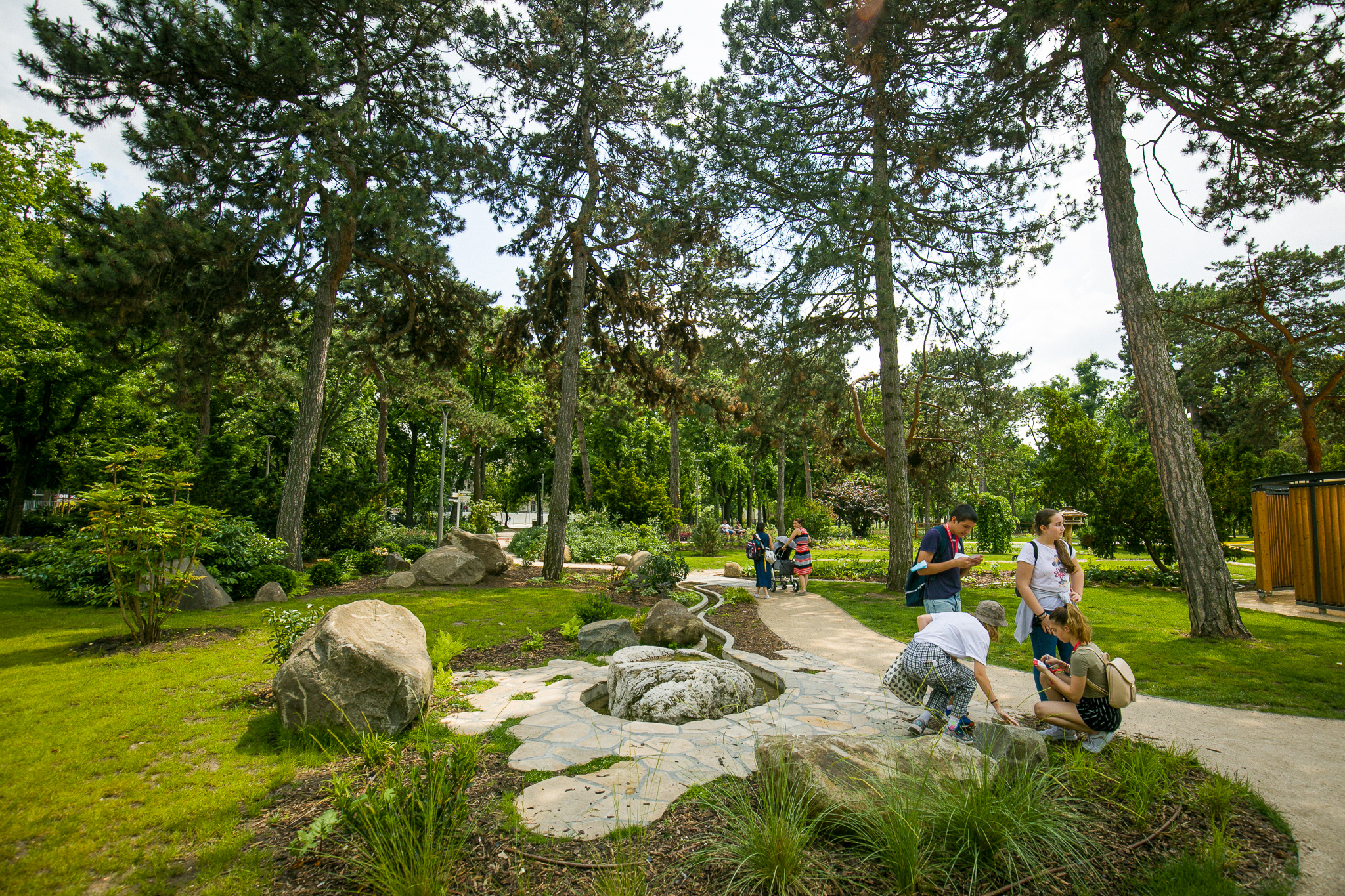 Piknik és „bioszóra” Galéria kép 3