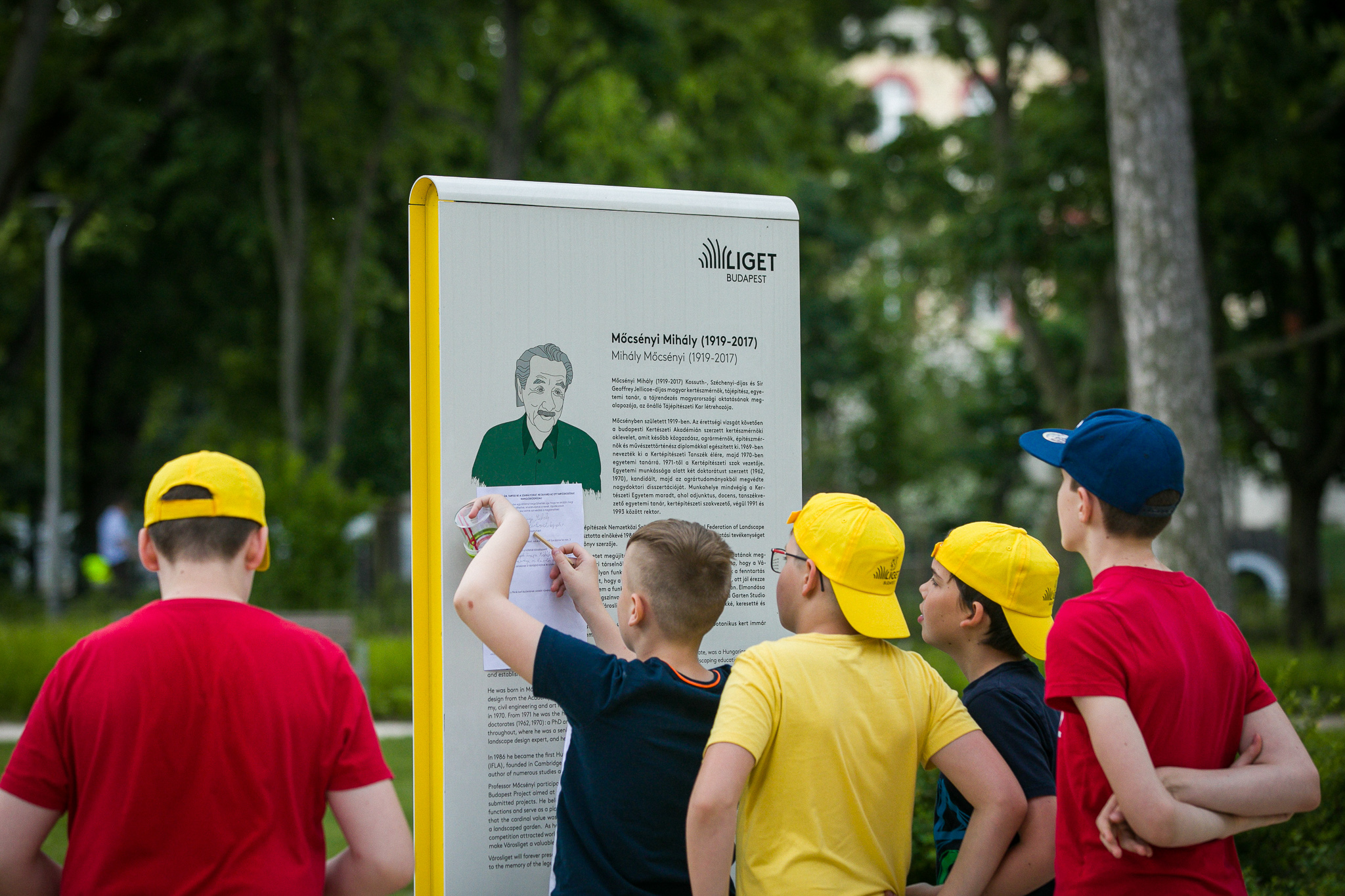Piknik és „bioszóra” Galéria kép 4