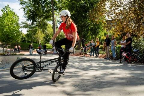 Outdoor Agility Park