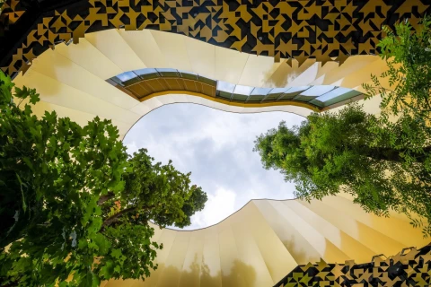 Hangzó csodavilág: Zene Háza